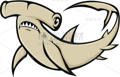 严肃的双髻鲨插图