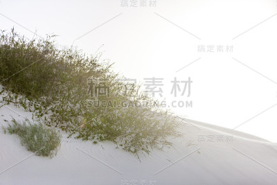 白沙