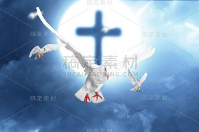 基督十字架和鸽子飞翔