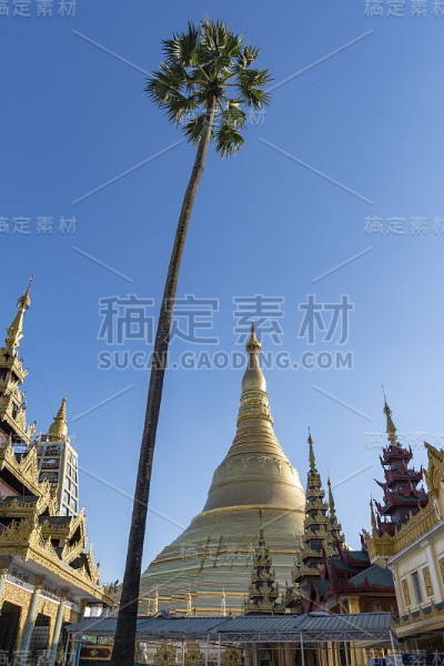 佛教寺庙