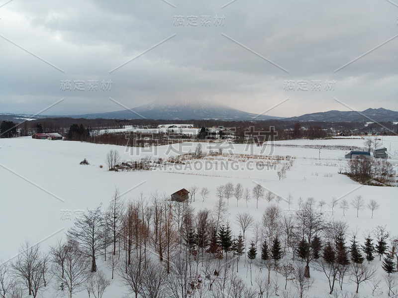 冬天的风景照片，雪覆盖的田野和村舍与光秃秃的树木在前景和雄伟的Yotei山在背景