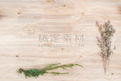 木桌上的植物用最小的拼贴构图