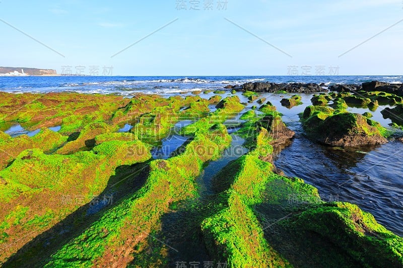 三邦，海滩，海岸，海滩，海岸，海岸，海草，龙头海岸，