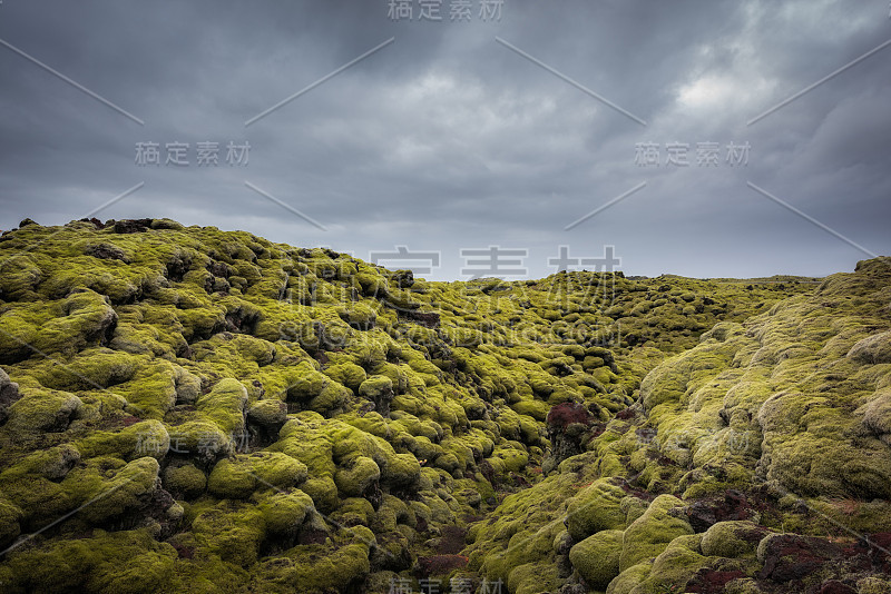 覆盖苔藓的冰岛火山岩