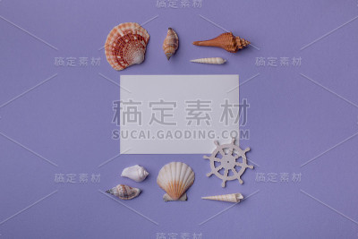 海洋物品的静物
