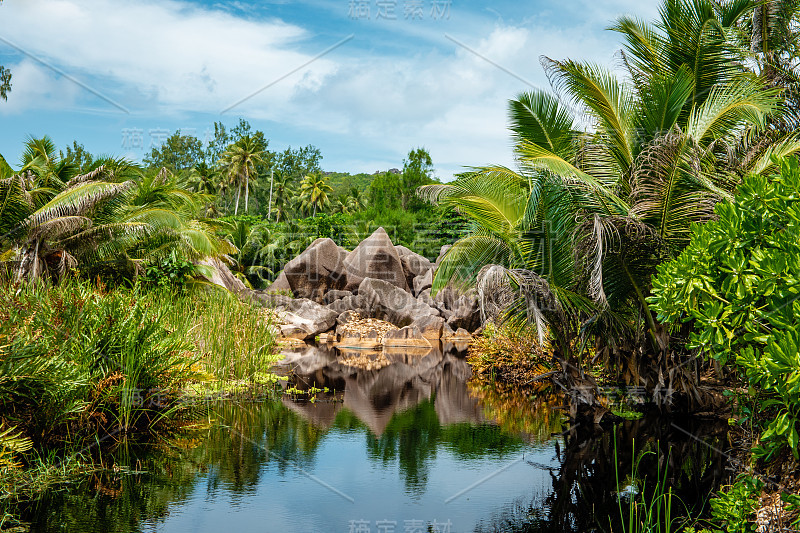 塞舌尔Praslin，沙滩热带岛屿，有棕榈树塞舌尔Praslin