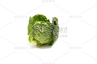 皱叶甘蓝