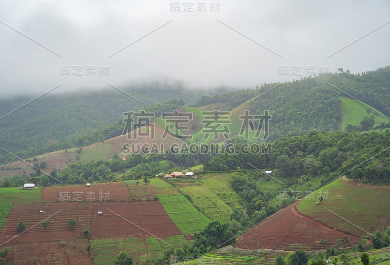 鸟瞰图森林树木和绿色的山小山与暴雨。自然景观背景，泰国。