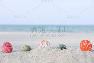 壳牌