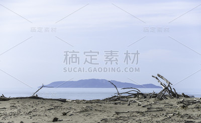 近海岸沼泽地公园海滩