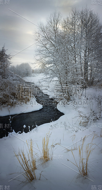 白雪覆盖的景观，河流和树木