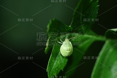 屏蔽错误