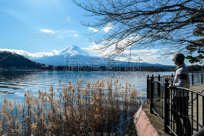 日本——一名男子站在川口湖边，眺望富士山
