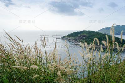 俯视图场景的蓬thep海角与草花