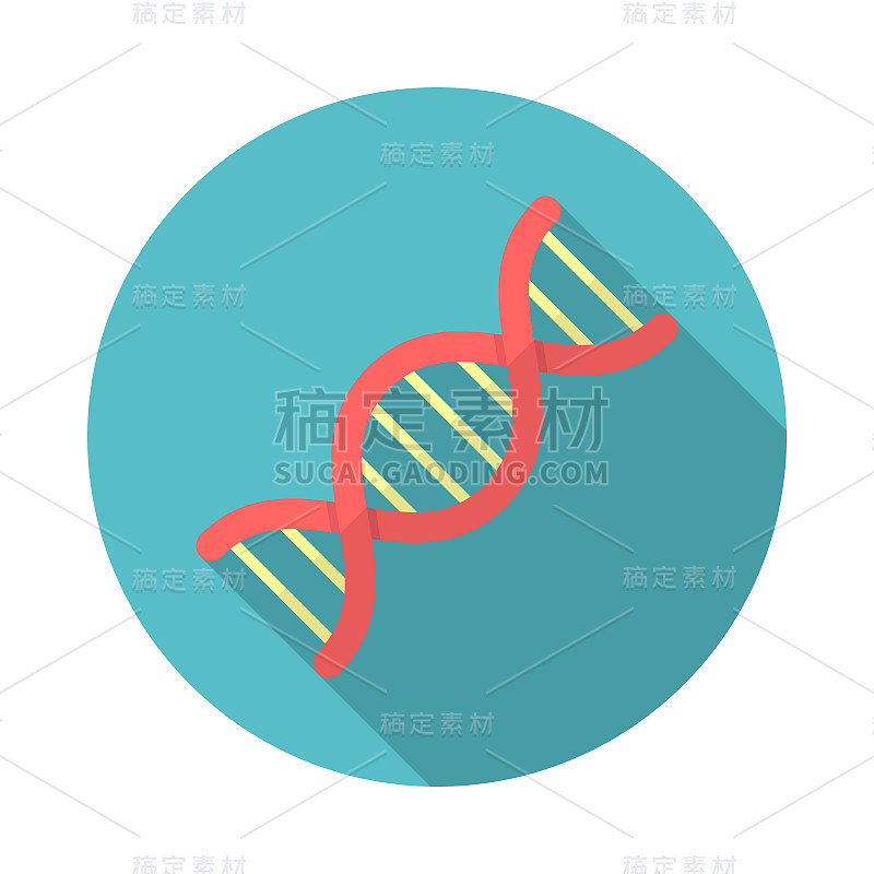 DNA圆图标与长影子。平面设计风格。DNA简单的轮廓。