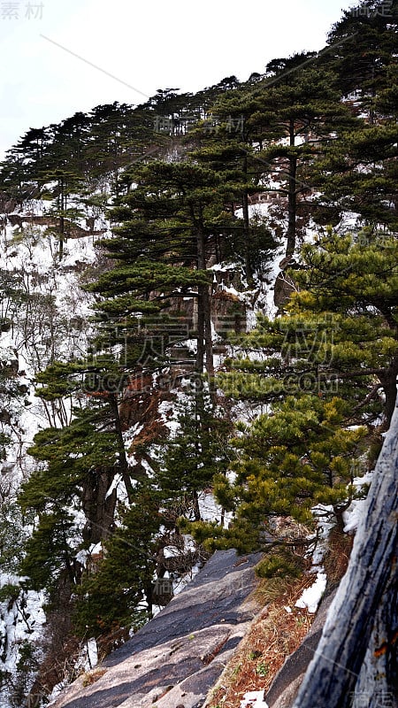 中国美丽的黄山风景