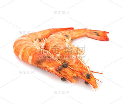 白色背景上分离的鲜虾