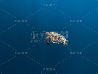 印尼