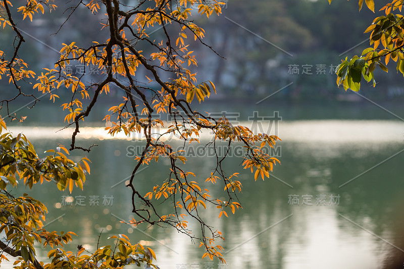 还剑湖的秋天。河内