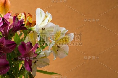 五颜六色的花朵，象征春天。