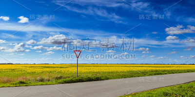 油菜田和风车