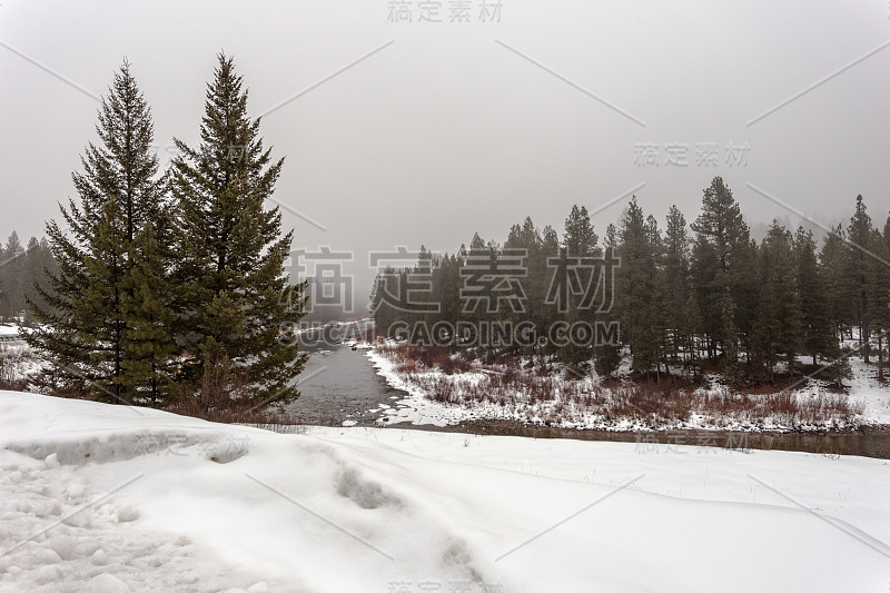 茂密的森林地区，高大的常青树环绕着大雪和平静的河与雾