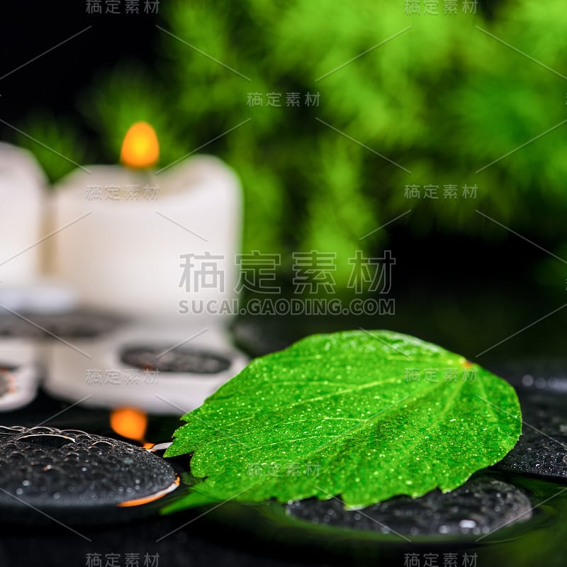 美丽的温泉概念绿叶芙蓉与滴