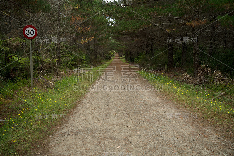 30英里每小时公里每小时最大速度警告牌旁边的未铺设的道路，在河头森林，新西兰库姆。