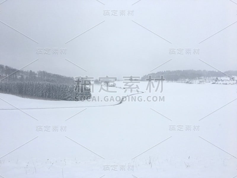 阿尔布施塔特的一条雪地里的路