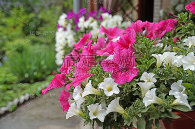 花