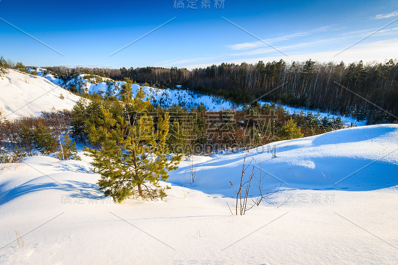 冬天被雪覆盖的小山，前景是松树。