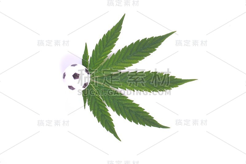 大麻叶和足球