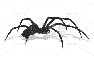 黑蜘蛛