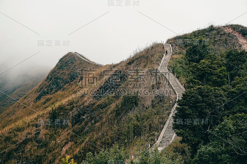 越南广宁平留恐龙脊椎骨全景图