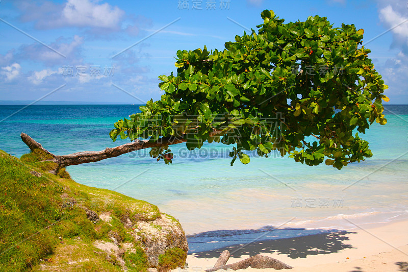 Cayo Levantado海滩- Bacardi岛，多米尼加共和国