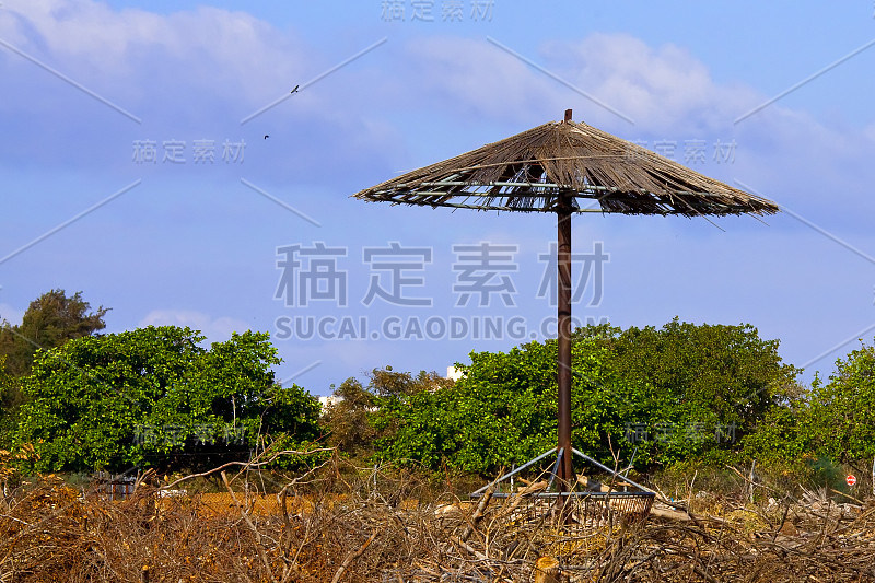 木伞