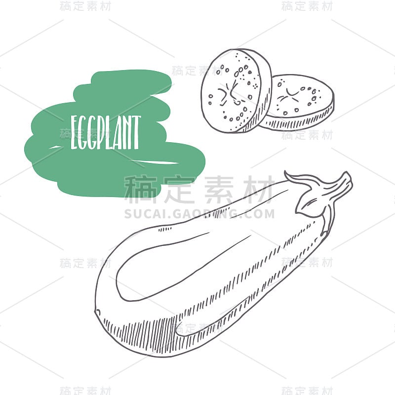 Hand drawn eggplant isolated on white. Sketch styl