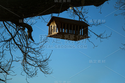 喂鸟器