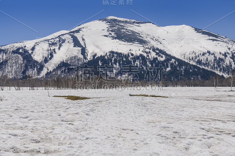 从Ozegahara沼泽看到的shibutsu山