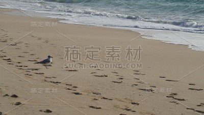 看大海
