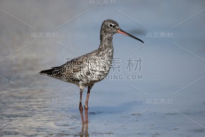 等等