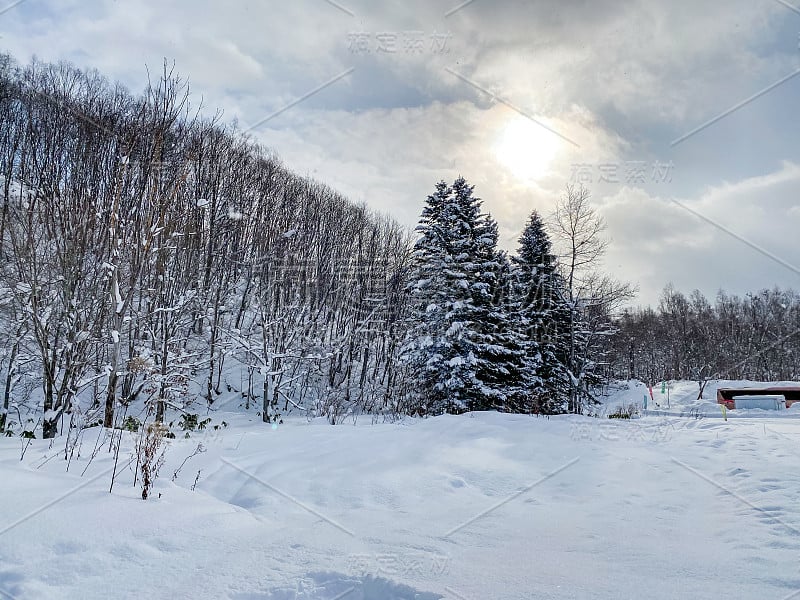 日本北海道阿布塔地区正在下雪