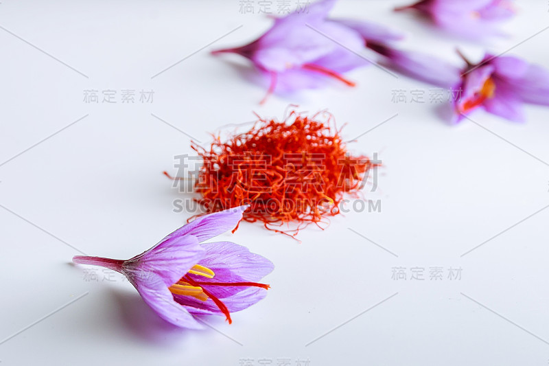 干藏红花在白色的背景和新鲜的藏红花花