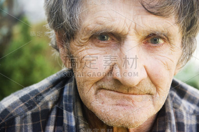 活跃的退休