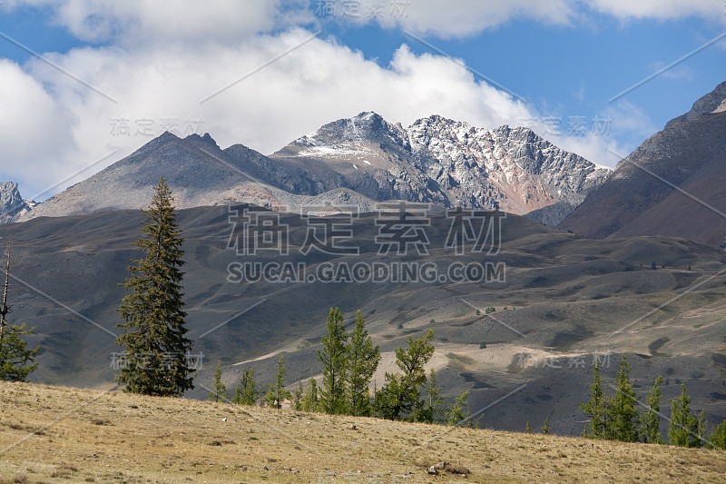 蒙古山谷草原树木和山脉