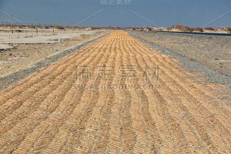 沙漠道路，铺砖