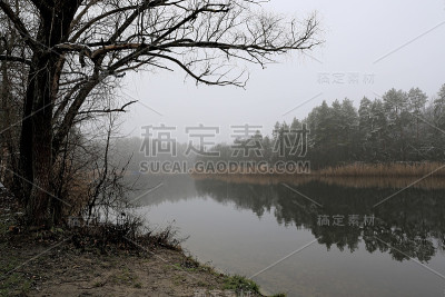 清晨春江美景