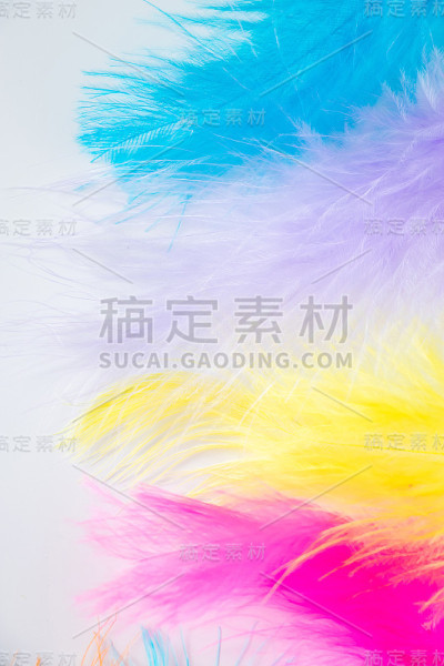 白色背景上的多色浅色羽毛。