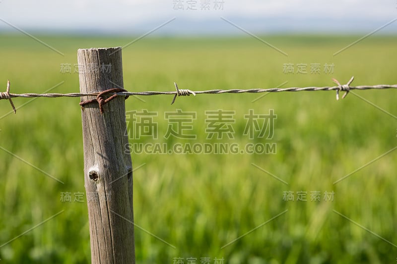 田野围栏的特写