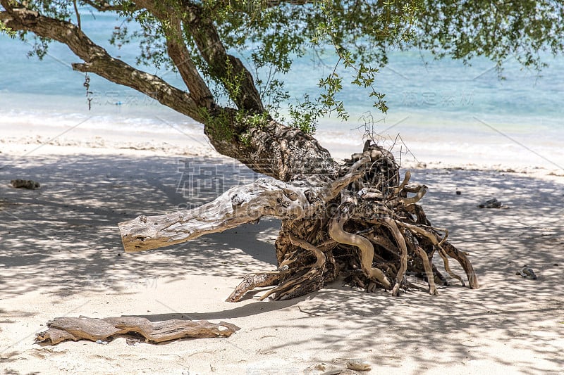 Gili Trawangan